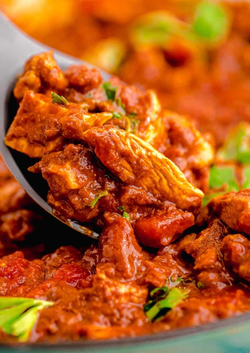 madras curry and the vibrant red color can be seen on a metal spoon