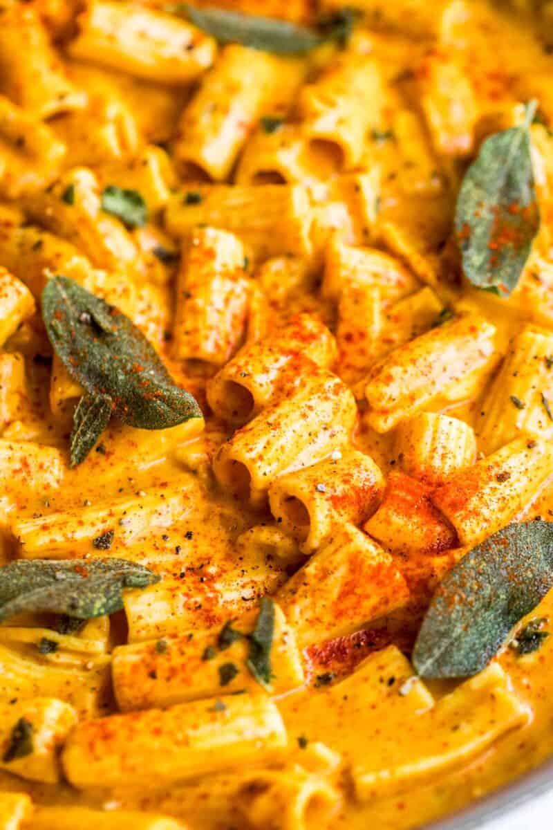 rigatoni pasta in a creamy pumpkin sauce with sage and fresh paprika and ground black pepper sprinkled on top