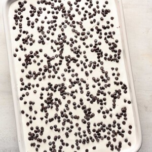 mini chocolate chips sprinkled on top of whipped cream mixture