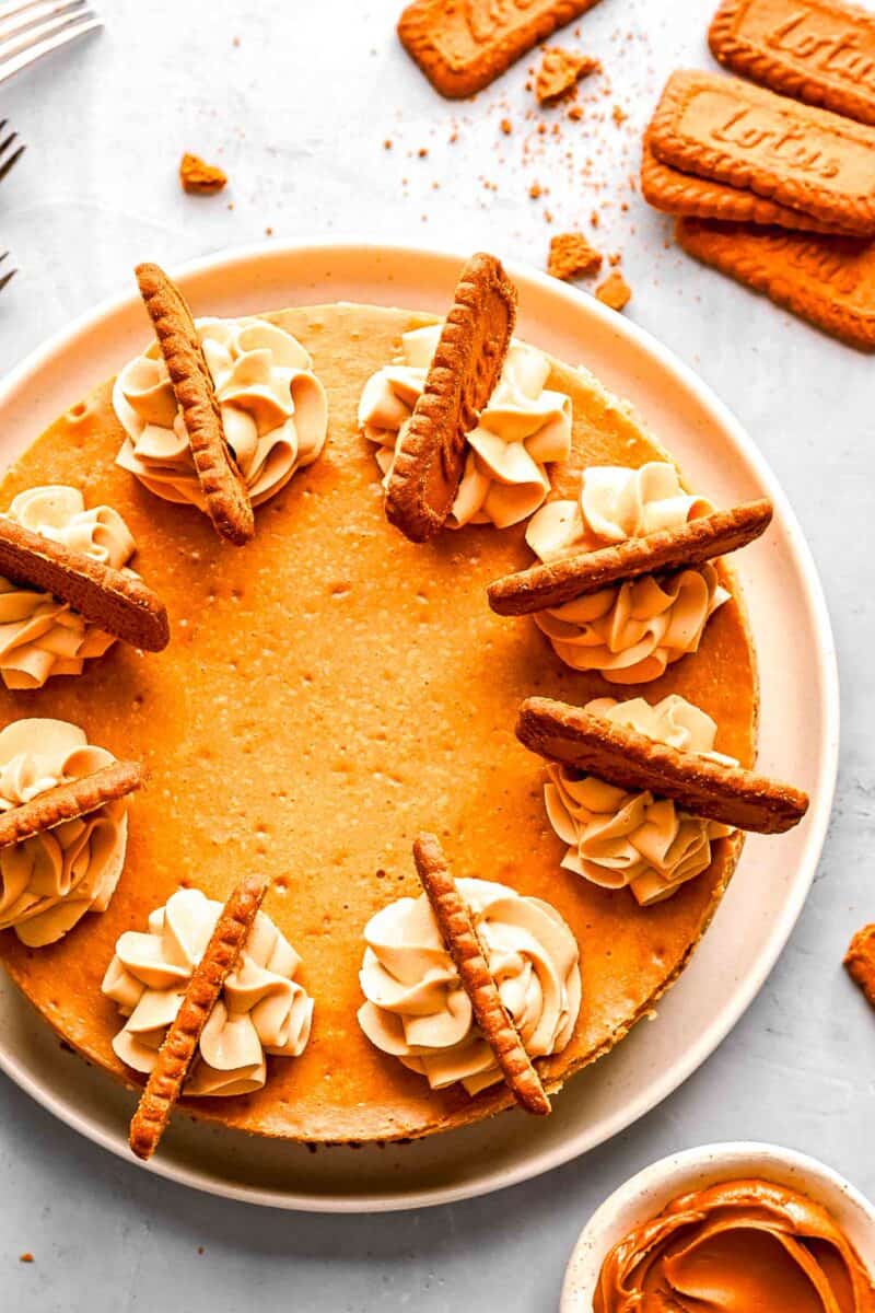 biscoff cheesecake with dollops of whipped topping with biscoff cookies on top