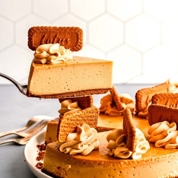 a slice of biscoff cheesecake is being lifted in the air with a metal cake spoon