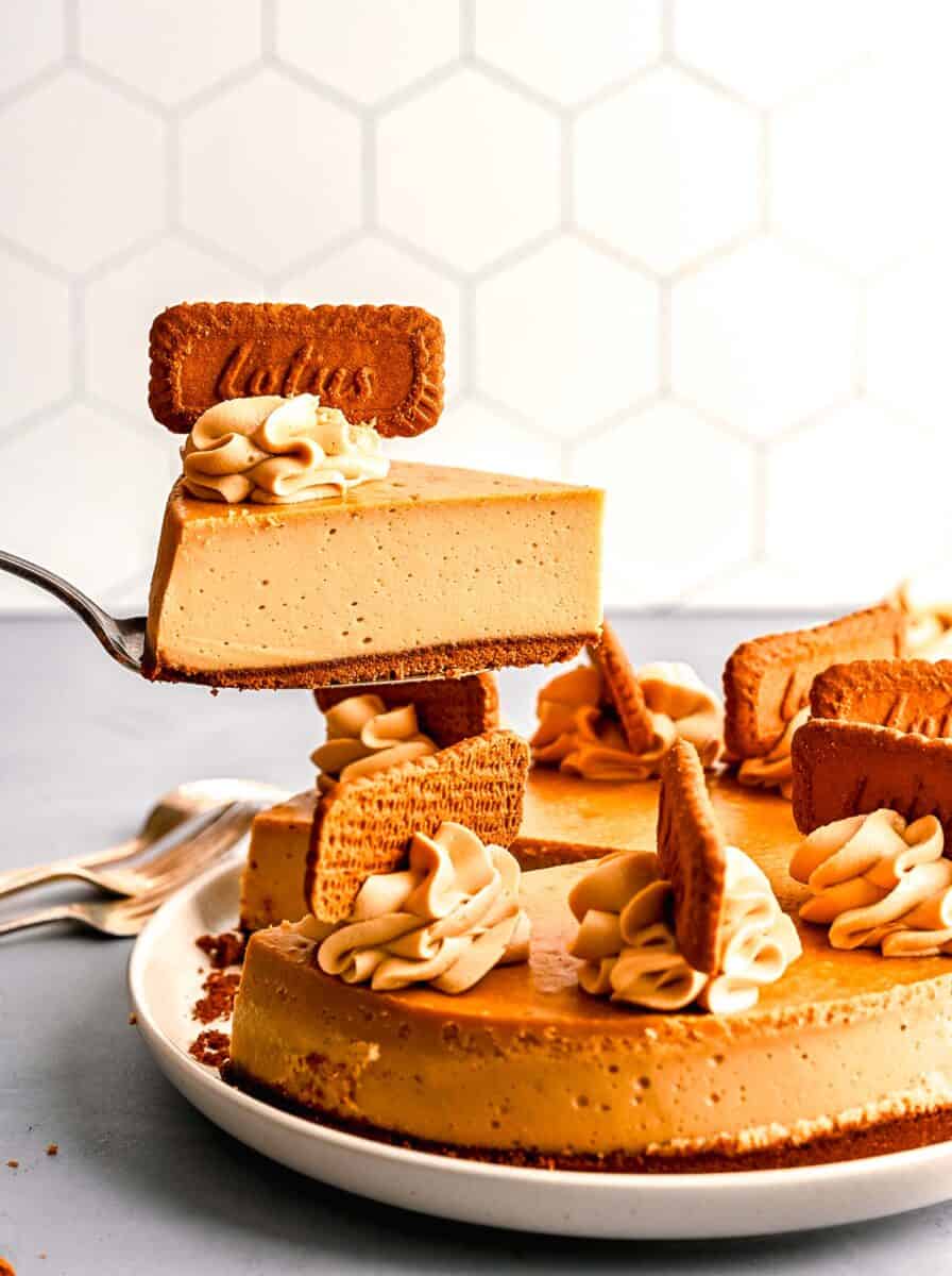 a slice of biscoff cheesecake is being lifted in the air with a metal cake spoon