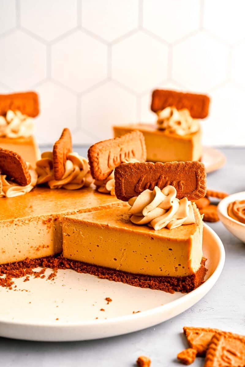 interior angle of a slice of biscoff cheesecake