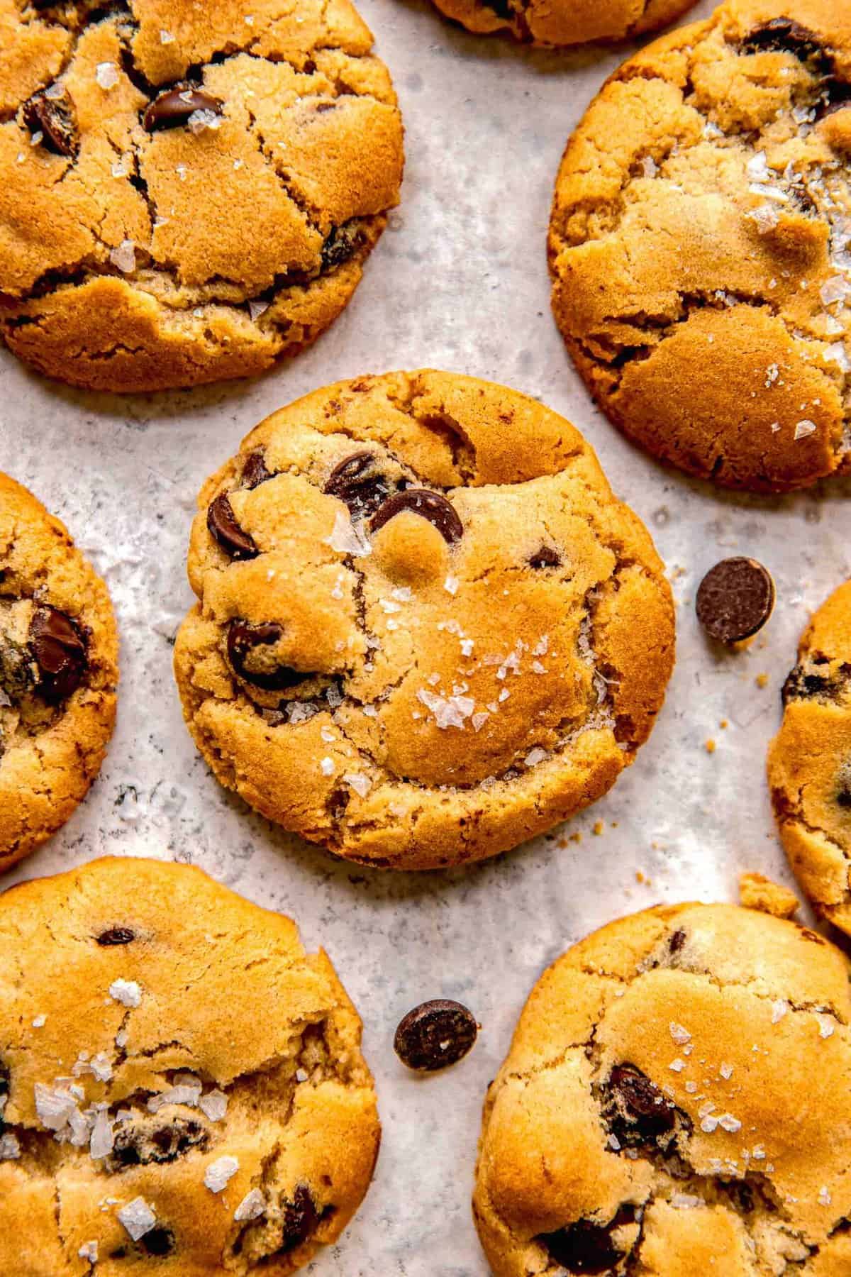 Overhead shot of chocolate chip cookies on a baking sheet.