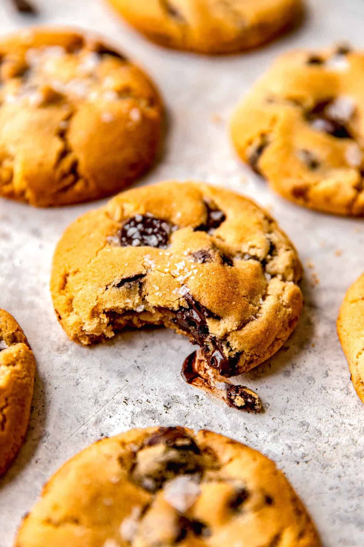 Chocolate chip cookies on a baking sheet. One has a bite taken out of it.