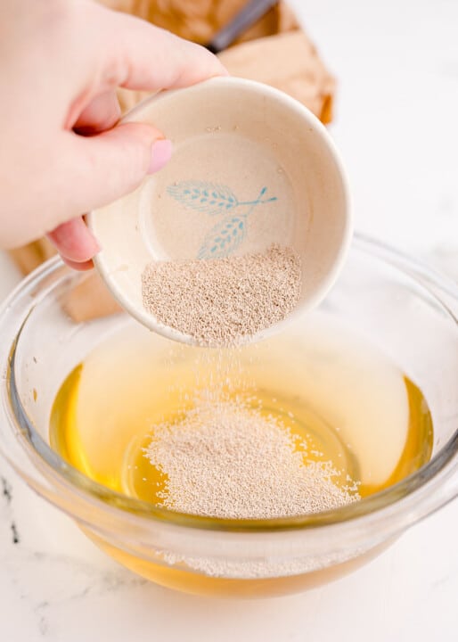 adding yeast into water and maple syrup in a clear bowl