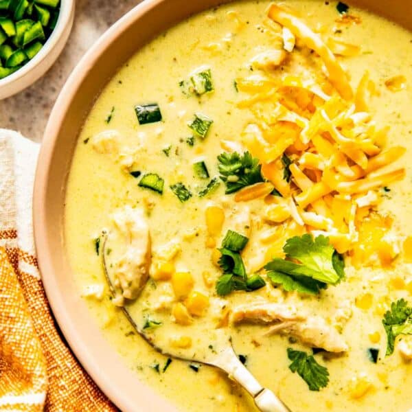 a spoon is in the chicken poblano soup with a spoonful of shredded chicken and frozen corn