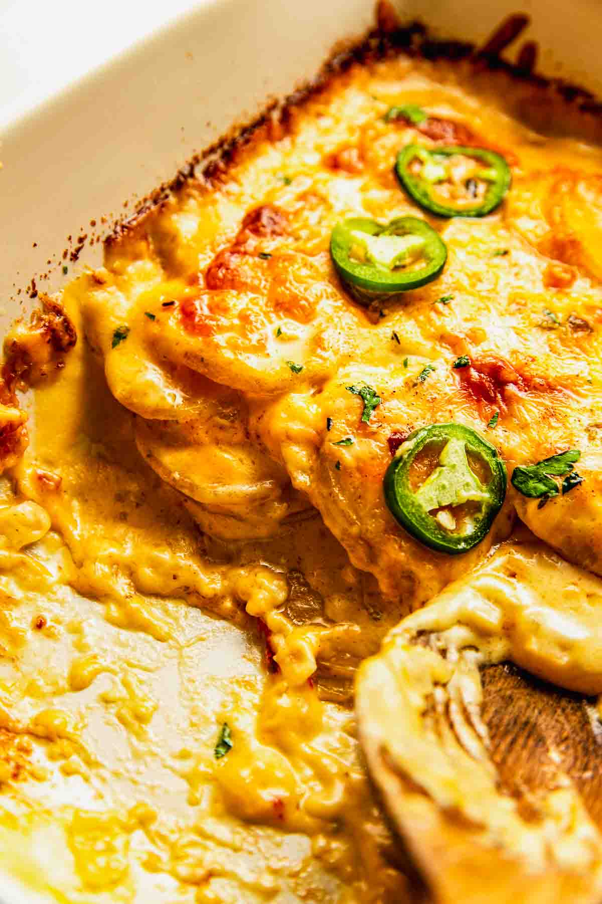Close-up of a cheesy baked casserole topped with sliced jalapenos, with a wooden spoon scooping out a portion, showing creamy and melted cheese layers.