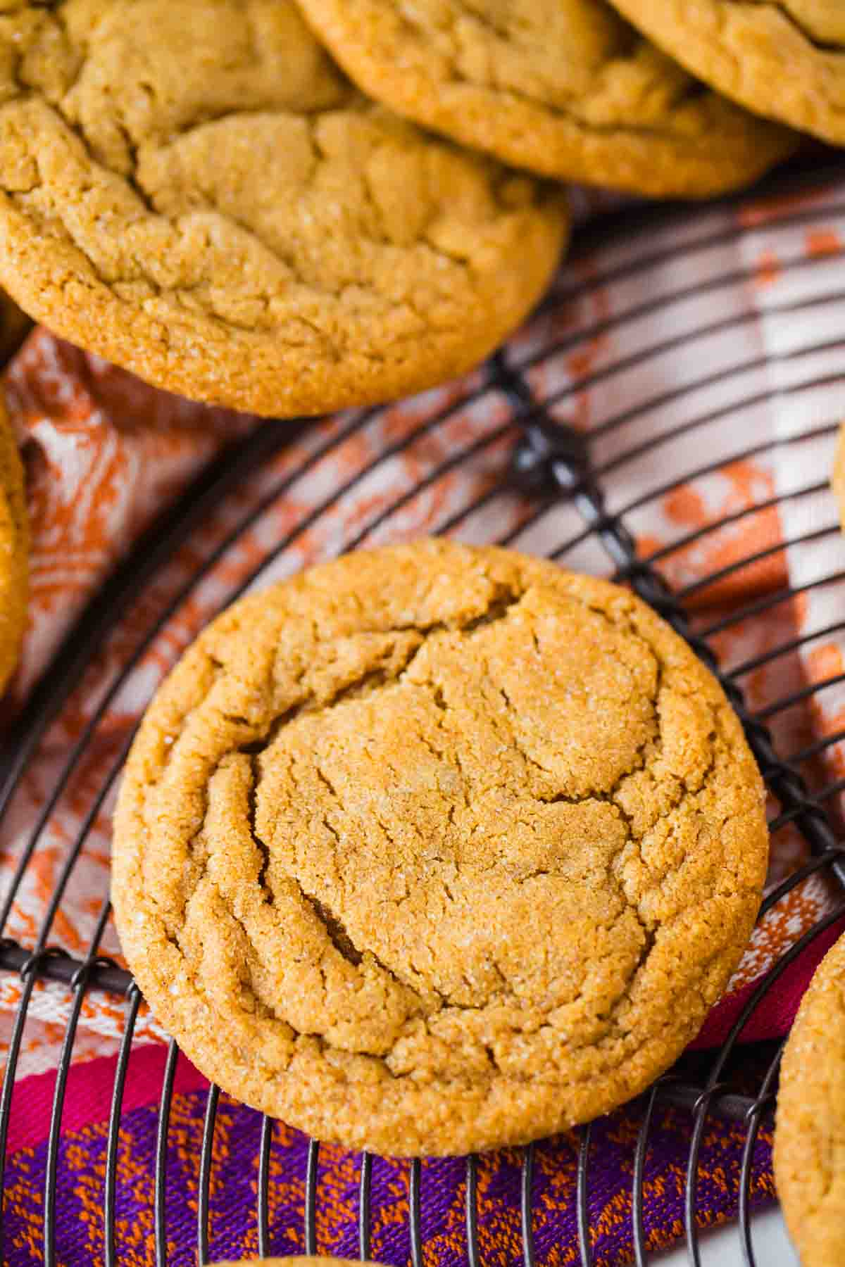 Close-up of round, golden-brown ginger molasses cookies cooling on a black wire rack over a colorful cloth.