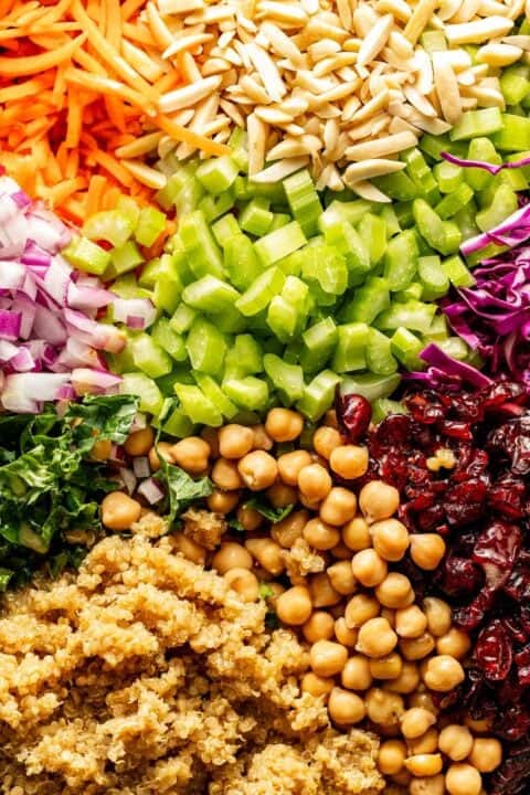 Chopped carrots, slivered almonds, celery, red onion, red cabbage, kale, dried cranberries, chickpeas, and quinoa arranged in sections.